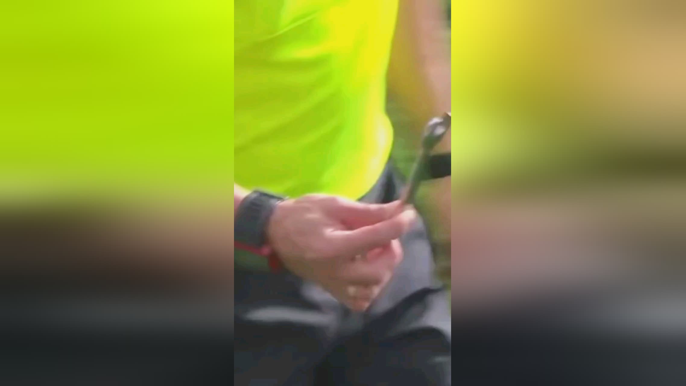 加盟勒沃